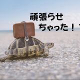 子供に頑張らせちゃった！？