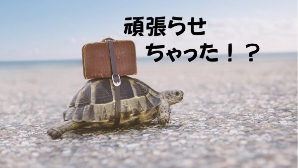 子供に頑張らせちゃった！？